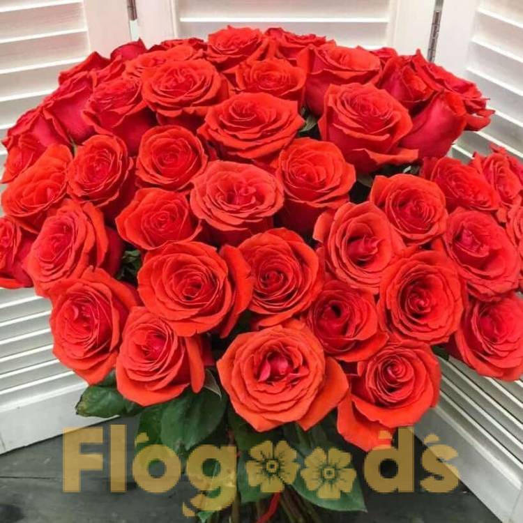 51 красная роза за 19 790 руб.